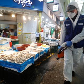 Corea del Sur registra 161 nuevos casos de coronavirus; suma 763