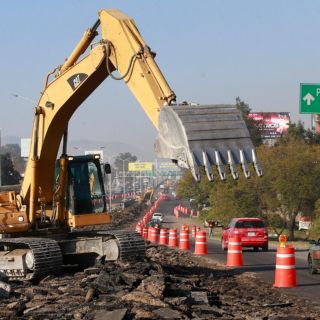 Por Peribús, afectarán casi cinco mil árboles; prometen restituir más de 14 mil