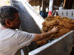 La industria tequilera no ha tenido afectaciones en insumos, ni en cuestión de logística y trasporte. AFP / ARCHIVO