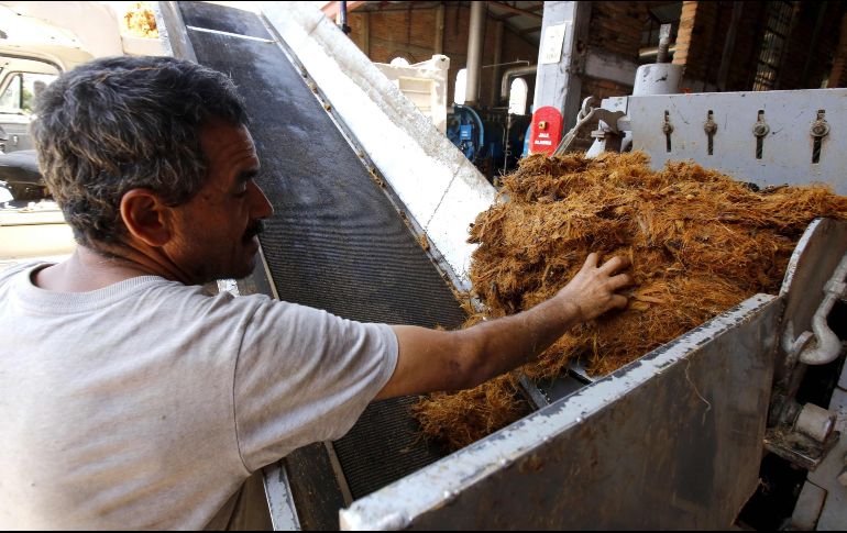 La industria tequilera no ha tenido afectaciones en insumos, ni en cuestión de logística y trasporte. AFP / ARCHIVO