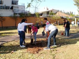 Mantenimiento urbano, trabajos de parques y jardines, alumbrado público y aseo público, son parte de las acciones del programa #100ParquesGDL. TWITTER / @DelToroIsmael
