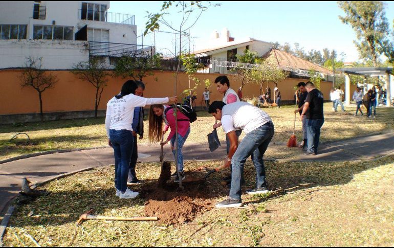 Mantenimiento urbano, trabajos de parques y jardines, alumbrado público y aseo público, son parte de las acciones del programa #100ParquesGDL. TWITTER / @DelToroIsmael