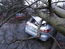 Un árbol impacta a un auto estacionado en la calle luego del paso del tornado en Nashville, Tennessee. AP / M. Humphrey