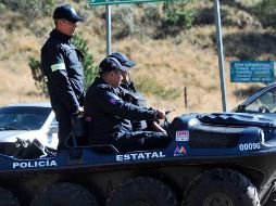Autoridades de los tres niveles investigan la muerte de una persona por el ataque de un supuesto felino. AFP/ARCHIVO