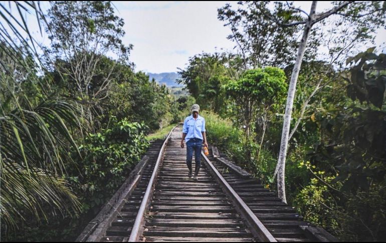 La prohibición para que el gobierno federal concluya la construcción permanecerá vigente hasta que la juez resuelva el fondo del amparo. TWITTER/TrenMayaMX