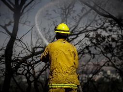 Del 1 de enero al 27 de febrero de este año, se registraron un total de 18 incendios forestales en Jalisco. EL INFORMADOR / ARCHIVO