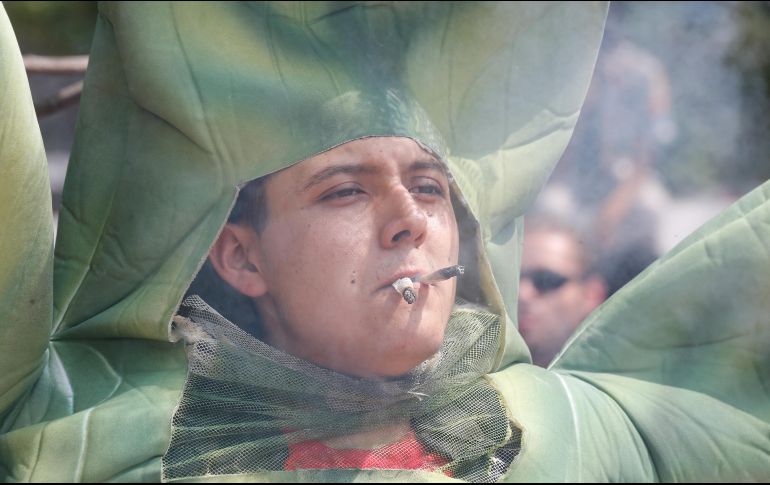 La senadora Patricia Mercado señala que se tiene que regular desde la semilla hasta los productos derivados del cannabis. EL INFORMADOR / ARCHIVO