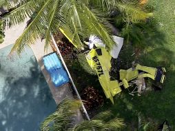 En las imágenes distribuidas por la Policía se observa un pequeño avión de color amarillo empotrado en una palmera y justo detrás de una piscina cercada. TWITTER/@BBPD