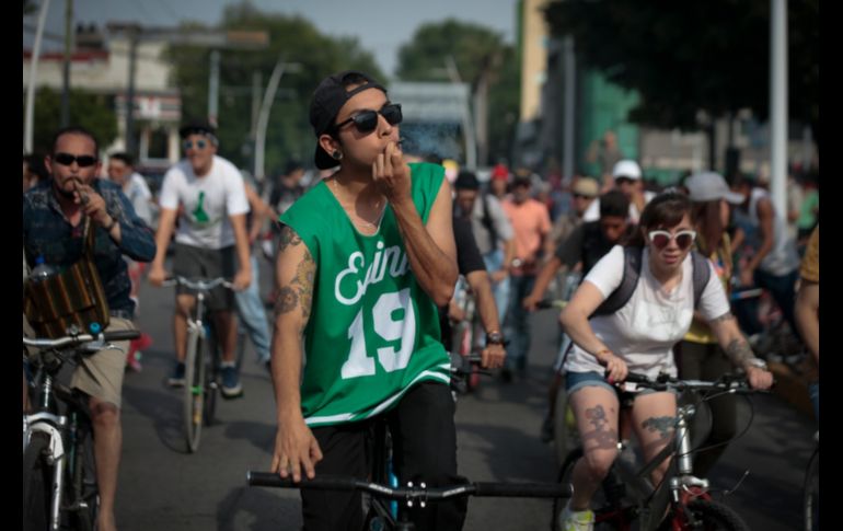Hacen un llamado a las autoridades a poner atención y exigir que se respete a los usuarios del cannabis. EL INFORMADOR/F. Atilano
