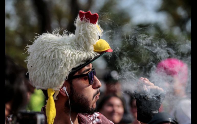 Hacen un llamado a las autoridades a poner atención y exigir que se respete a los usuarios del cannabis. EL INFORMADOR/F. Atilano