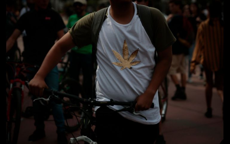 Hacen un llamado a las autoridades a poner atención y exigir que se respete a los usuarios del cannabis. EL INFORMADOR/F. Atilano