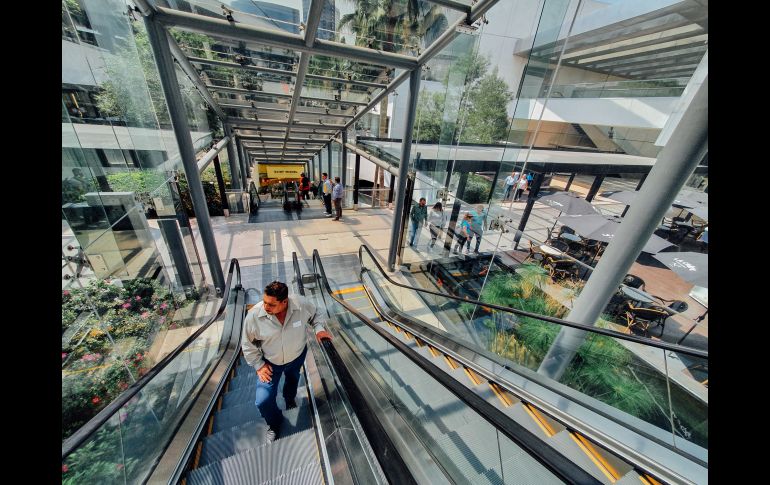 EL INFORMADOR / G. Gallo