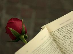 A los participantes se les dará un ejemplar del libro y una rosa. EL INFORMADOR / ARCHIVO