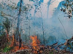 En el resto de los municipios las quemas agropecuarias solo podrán ser realizadas con aviso previo. EFE / ARCHIVO
