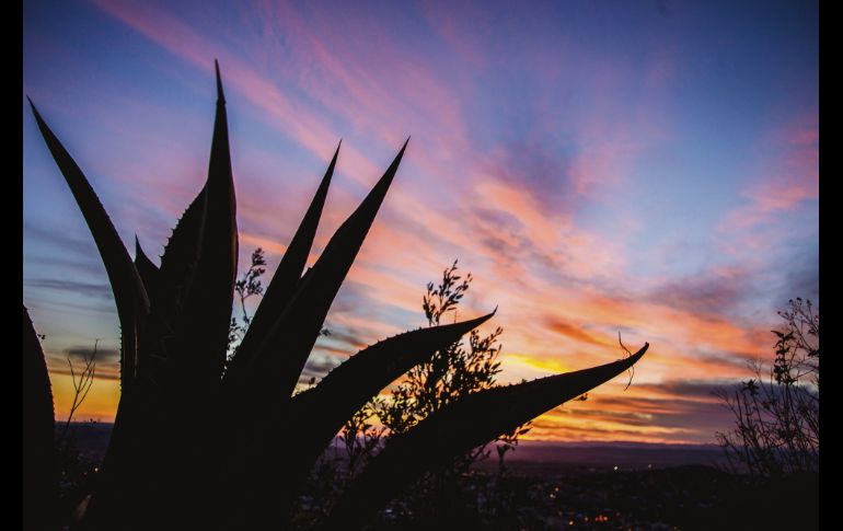 AMANECER DESDE LA BUFA. El cielo se pinta con mil colores. CORTESÍA