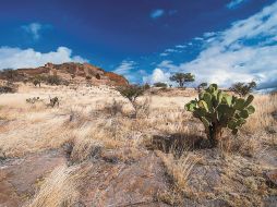 LA QUEMADA. La zona arqueológica, una singularidad poco conocida. ESPECIAL / PIXABAY