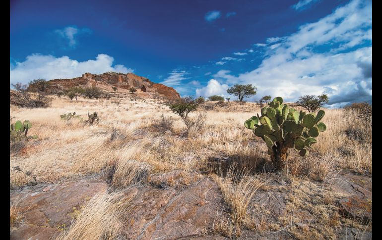 MUSEO FRANCISCO GOITIA. Un recinto de enorme belleza en su exterior e interior. ESPECIAL