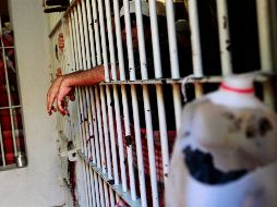 Con la finalidad de evitar concentraciones en las áreas de visita general, se ampliarán los horarios para tal efecto. EL INFORMADOR / ARCHIVO