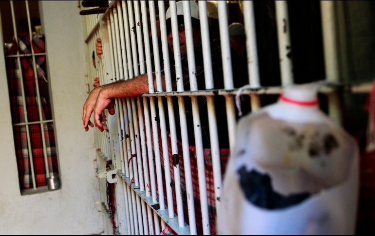 Con la finalidad de evitar concentraciones en las áreas de visita general, se ampliarán los horarios para tal efecto. EL INFORMADOR / ARCHIVO