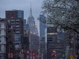 El estado tiene más de cinco mil casos confirmados del coronavirus y 38 muertes, según cifras de la Universidad Johns Hopkins. AFP / ARCHIVO