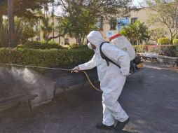 Se sanitizarán las 35 plazas municipales y parques de mayor afluencia. Hoy se realizaron acciones en la presidencia municipal y la Plaza de las Américas, entre otros. EL INFORMADOR / R. Bobadilla