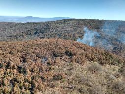 El incendio está en medio de una cañada, lo cual podría dificultar las labores de extinción de las dos líneas de fuego. ESPECIAL / Policía de Tlajomulco