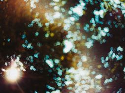 La discapacidad no es sinónimo de limitar, por ello, la fotografía, en esta era visual, puede considerarse como un arma fundamental para entender otras formas de vivir y expresar./ IMAGEN PIXABAY