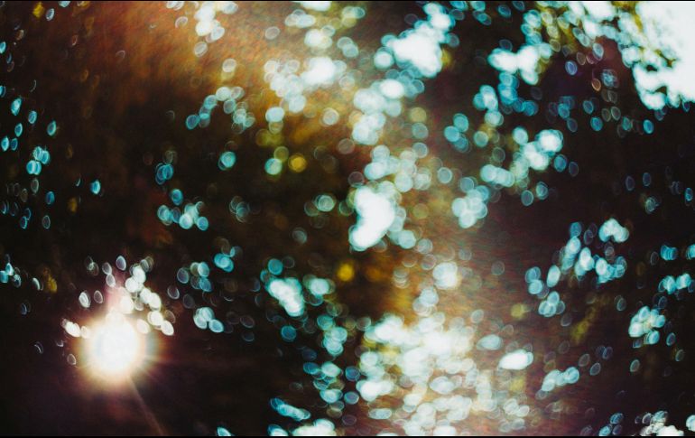 La discapacidad no es sinónimo de limitar, por ello, la fotografía, en esta era visual, puede considerarse como un arma fundamental para entender otras formas de vivir y expresar./ IMAGEN PIXABAY