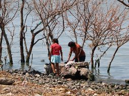 Poncitlán es el municipio de Jalisco que más reporta enfermedades renales. EL INFORMADOR / ARCHIVO