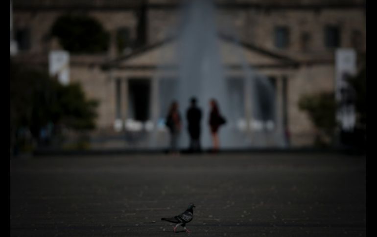 EL INFORMADOR/F. Atilano