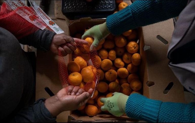 Las proyecciones señalan que esta bebida natural se convirtió en el activo con mejor desempeño en lo que va del año. GETTY IMAGES