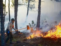 En el combate al fuego participan mil 706 brigadistas. EFE