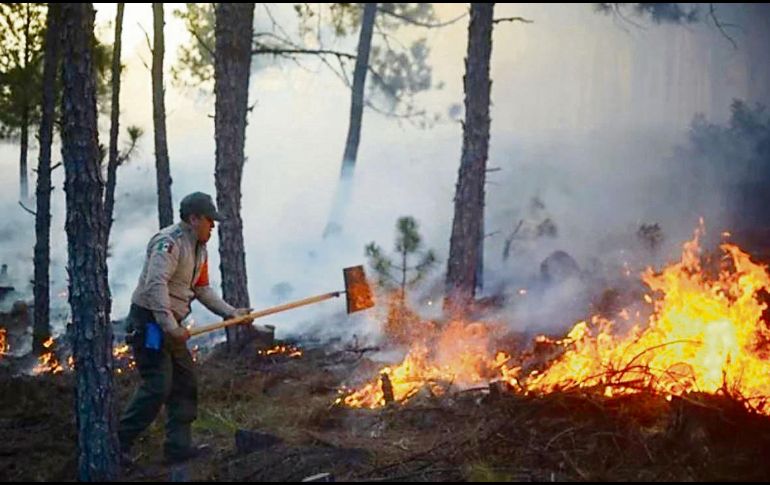 En el combate al fuego participan mil 706 brigadistas. EFE