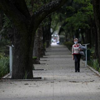 Pavlovich plantea restringir acceso a Sonora por frontera con EU