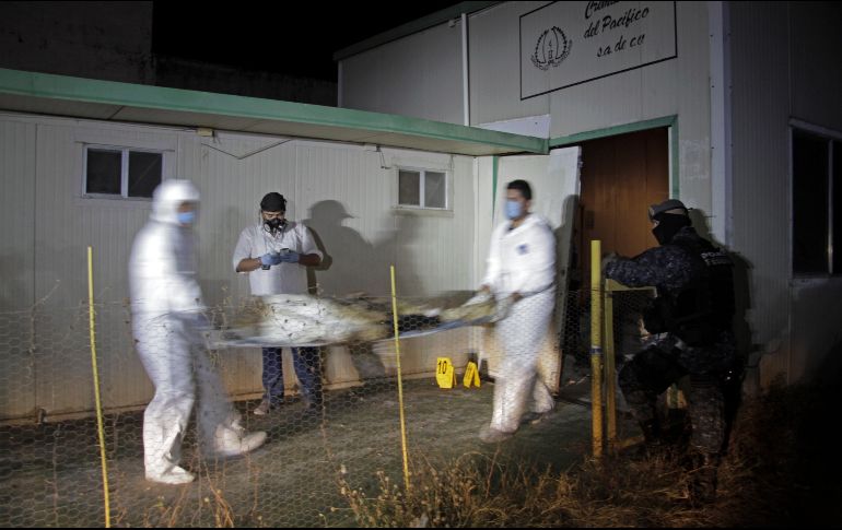Los cadáveres localizados en Taxco tenían las manos amarradas, estaban descalzos y presentaban impactos de bala en la cabeza y el cuerpo. AP/ARCHIVO