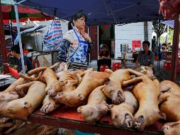 ''Si alguien viola la ley y es declarado culpable, serán sujetos a multas más el precio del animal comerciado, hasta por 10 mil yenes (mil 400 dólares)'', indicaron las autoridades. EFE / ARCHIVO