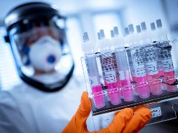 Los tres laboratorios autorizados son el Laboratorio de Salud Pública de Jalisco, el Laboratorio del CIBO (del IMSS) y la Unidad de Patología Clínica. AP / P. Steffen