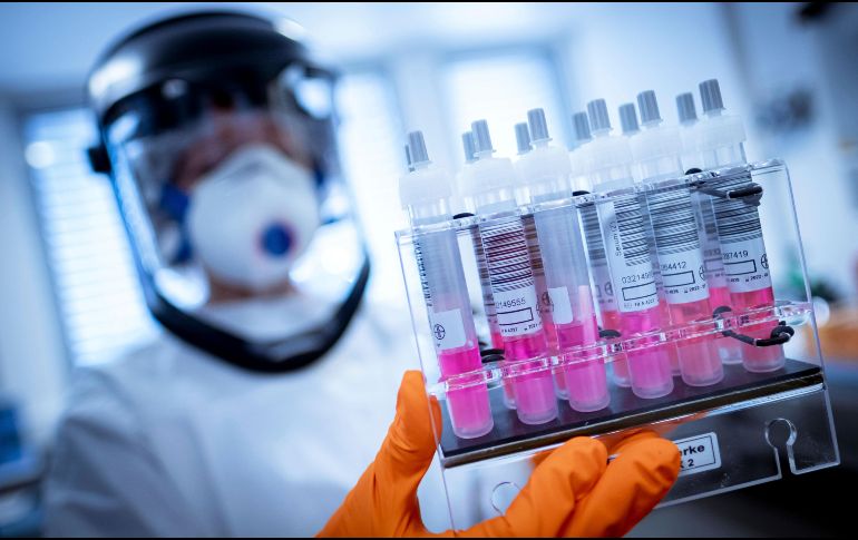 Los tres laboratorios autorizados son el Laboratorio de Salud Pública de Jalisco, el Laboratorio del CIBO (del IMSS) y la Unidad de Patología Clínica. AP / P. Steffen