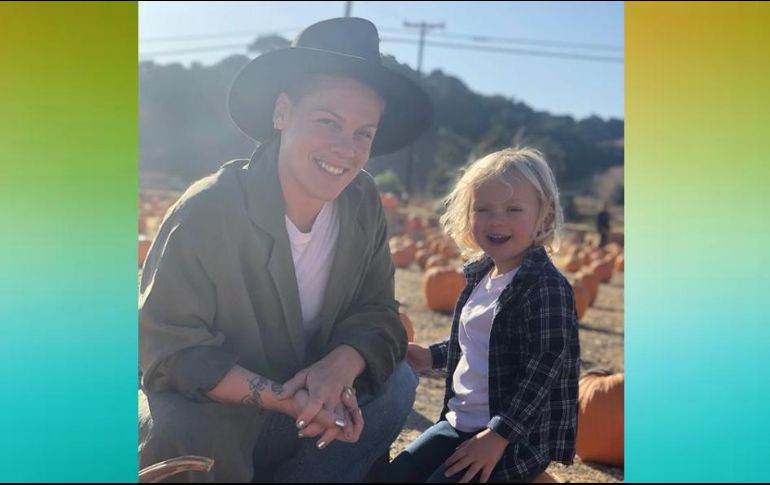 La intérprete de So What y Stupid girls manifiesta que es una burla absoluta que su gobierno no pueda hacer que las pruebas para detectar la enfermedad sean más accesibles. INSTAGRAM / pink