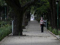 Parte del desafío es comprender de dónde proviene, porque la salud del planeta juega un papel importante en la propagación de enfermedades zoonóticas. SUN / ARCHIVO