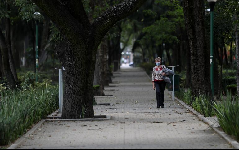 Parte del desafío es comprender de dónde proviene, porque la salud del planeta juega un papel importante en la propagación de enfermedades zoonóticas. SUN / ARCHIVO