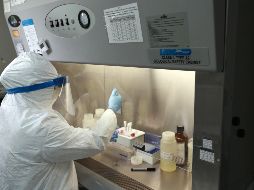 Sobre los decesos, se realizaron las indagatorias pertinentes para confirmar que se trata de muertes provocadas por COVID-19. SUN / ARCHIVO