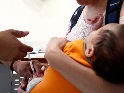 Si el bebé cumple un año de edad le corresponde la primera aplicación; y si tiene seis años, el refuerzo. EL INFORMADOR / ARCHIVO