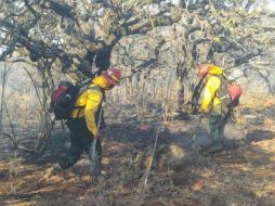 TWITTER / @SemadetJal