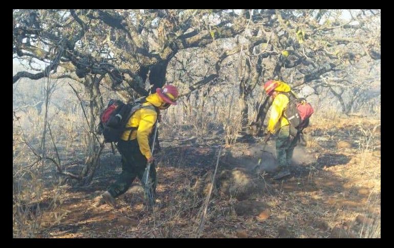 TWITTER / @SemadetJal