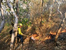 Un brigadista extingue las llamas en una zona de montaña en Guerrero. ESPECIAL