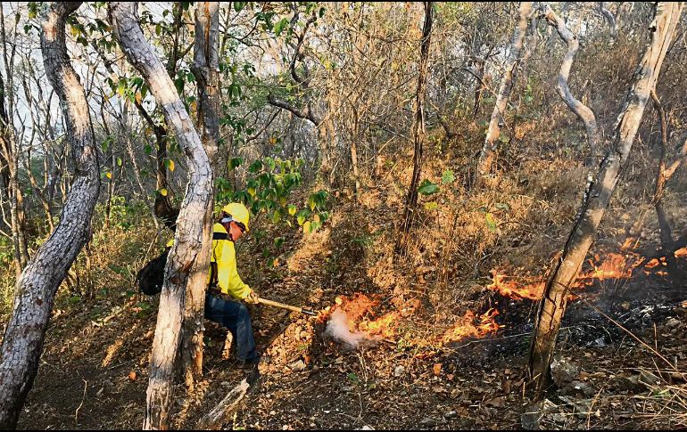 Un brigadista extingue las llamas en una zona de montaña en Guerrero. ESPECIAL