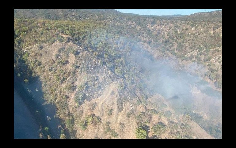 Los elementos son apoyados por los helicópteros Tláloc de Zapopan y Witari del Gobierno de Jalisco para facilitar el combate. TWITTER / @UMPCyBZ