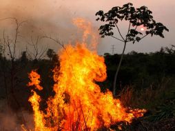 El Servicio de Emergencia del Estado mantiene la postura de que en este momento no hay amenaza para la abandonada planta de energía nuclear de Chernóbil. EFE / ARCHIVO