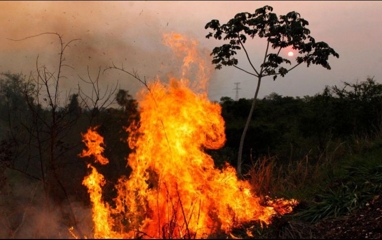 El Servicio de Emergencia del Estado mantiene la postura de que en este momento no hay amenaza para la abandonada planta de energía nuclear de Chernóbil. EFE / ARCHIVO